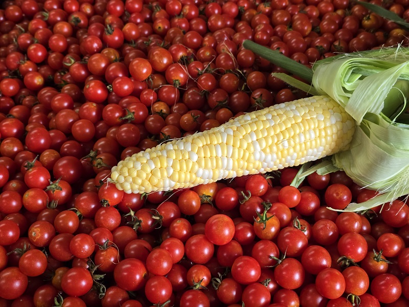 tomato corn